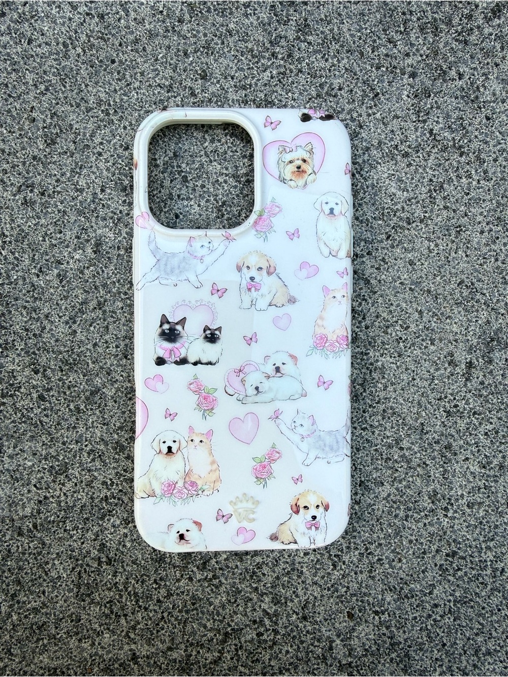 iPhone 16 pro max phone case